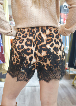 Leopard Print Lace Trim Shorts
