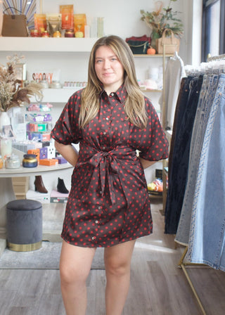 Polka Dot Shirt Dress - Brown