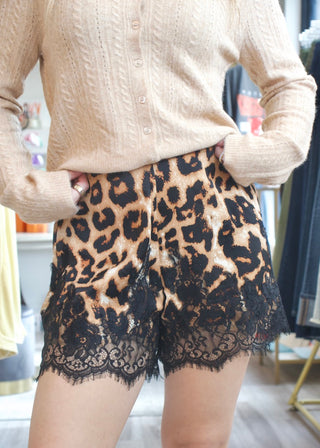 Leopard Print Lace Trim Shorts