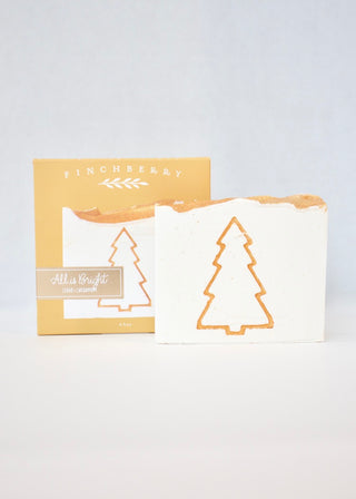 Holiday Boxed Soap