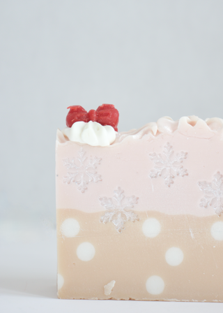 Holiday Boxed Soap